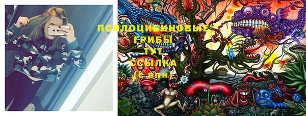 PSILOCYBIN Козельск