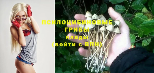 гидропоника Киренск