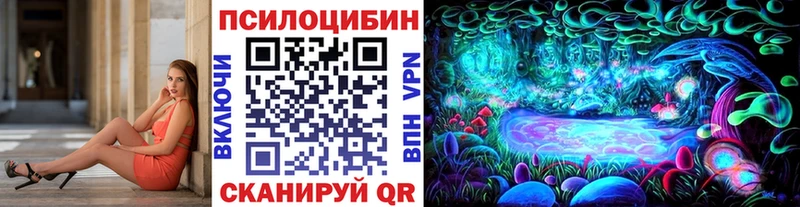 Псилоцибиновые грибы GOLDEN TEACHER  Купить где  Бикин 